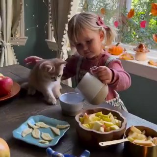 Eine stolze Katzenmutti   [37010]Kurze Videos https://t.me/kurze_Vids/4126- auss...