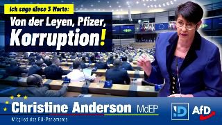 Die deutsche Abgeordnete Christine Anderson wurde zum Schweigen gebracht, nachde...