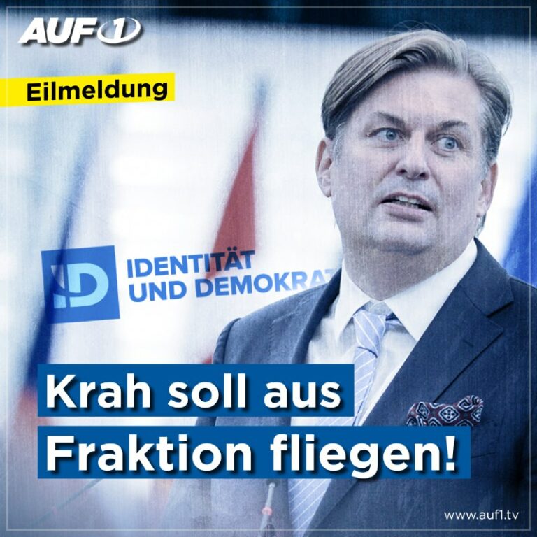 AfD: Krah-Ausschluss aus Fraktion gefordert