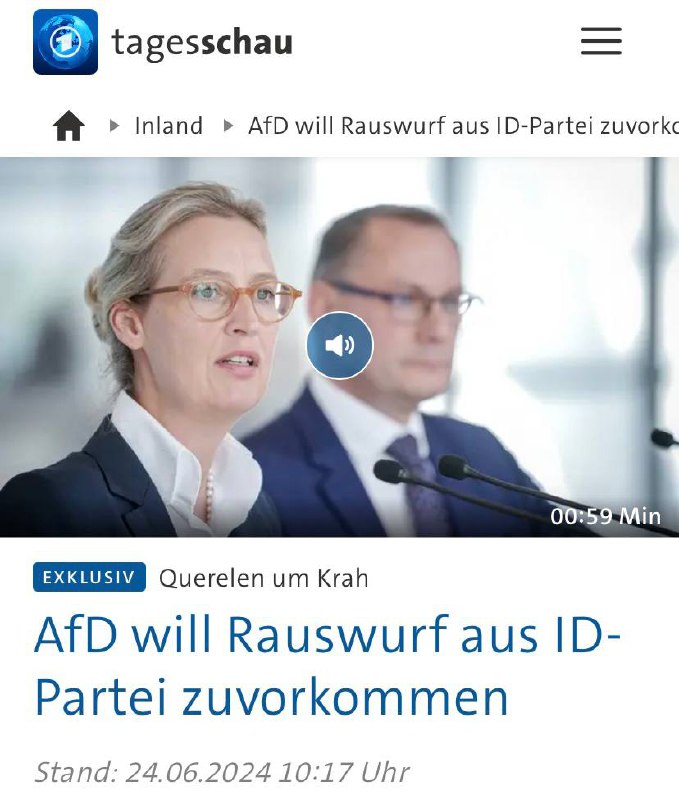 AfD verlässt EU-Partei „Identität und Demokratie“