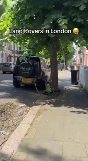 Autos in England werden aus Angst vor Diebstahl an Bäume gebunden