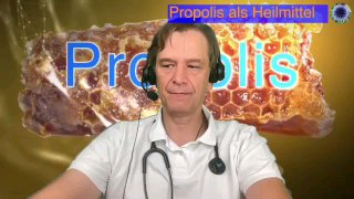 Das verbotene Heilwissen: Propolis – Empfehlung