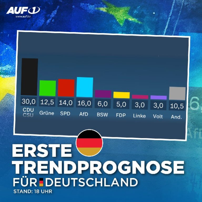 EU-Wahl Deutschland: AfD mit Zugewinn von 5 Prozent