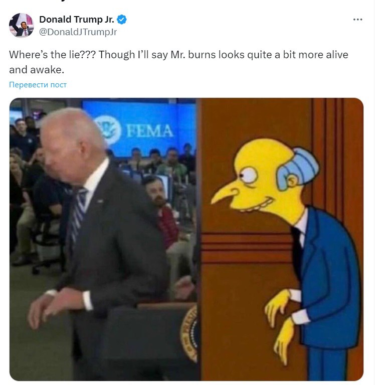 Elon Musk erklärt: Memes gewinnen in Trump vs. Biden Debatte