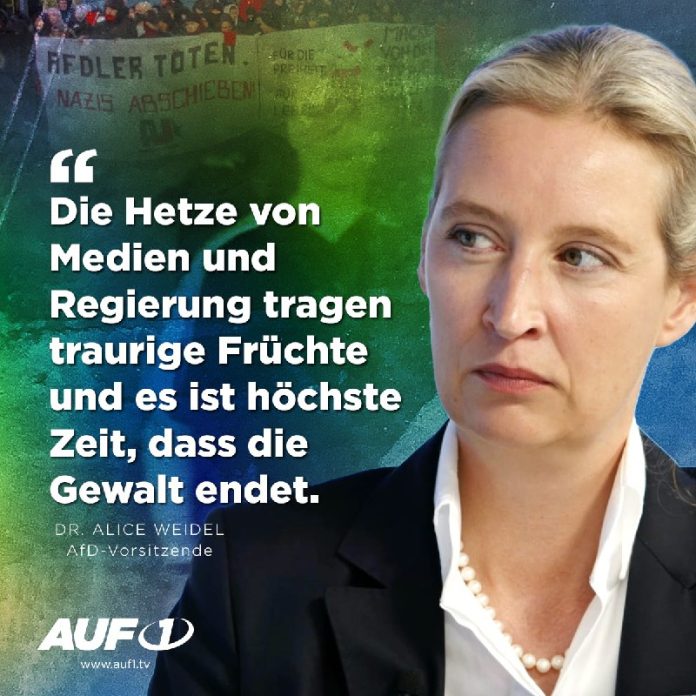Mannheim: Jetzt spricht Weidel Die AfD-Vorsitzende Dr. Alice Weidel findet klare...