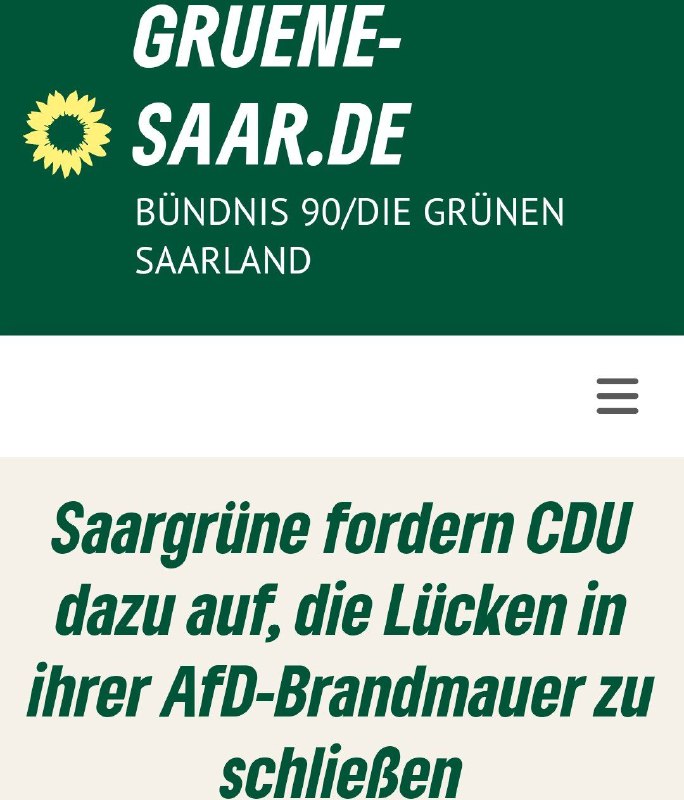 CDU-Ortsvorsteher mit AfD-Stimme gewählt: Grüne fordern Rücktritt