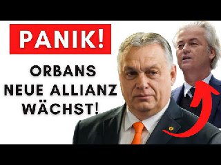 Europa in Panik: Orbans Bündnis mit PVV aus Holland wächst