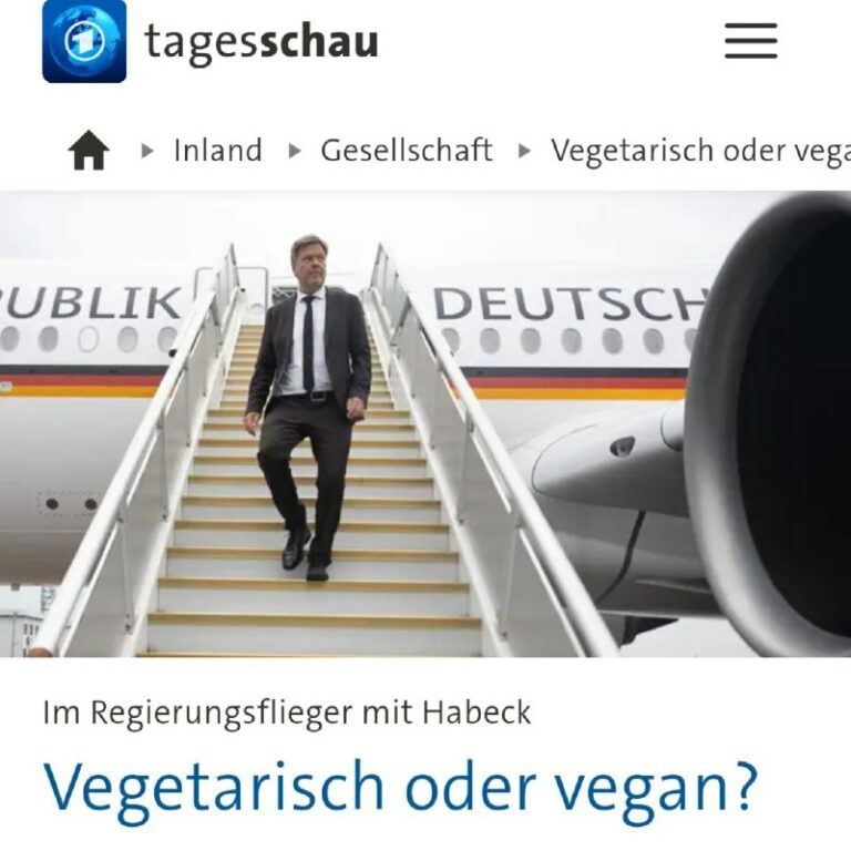 Robert Habeck: Fleischlos im Regierungsflieger