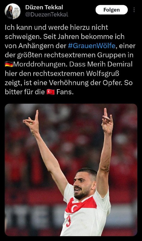 Türkischer Fußballer Demiral feiert EM-Tor mit umstrittenem Wolfsgruß