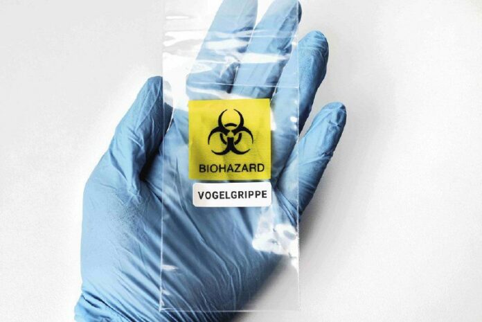 "Millionen von US-Regierung an Moderna für mRNA-Vogelgrippe-StoffDie Pandemie-In...