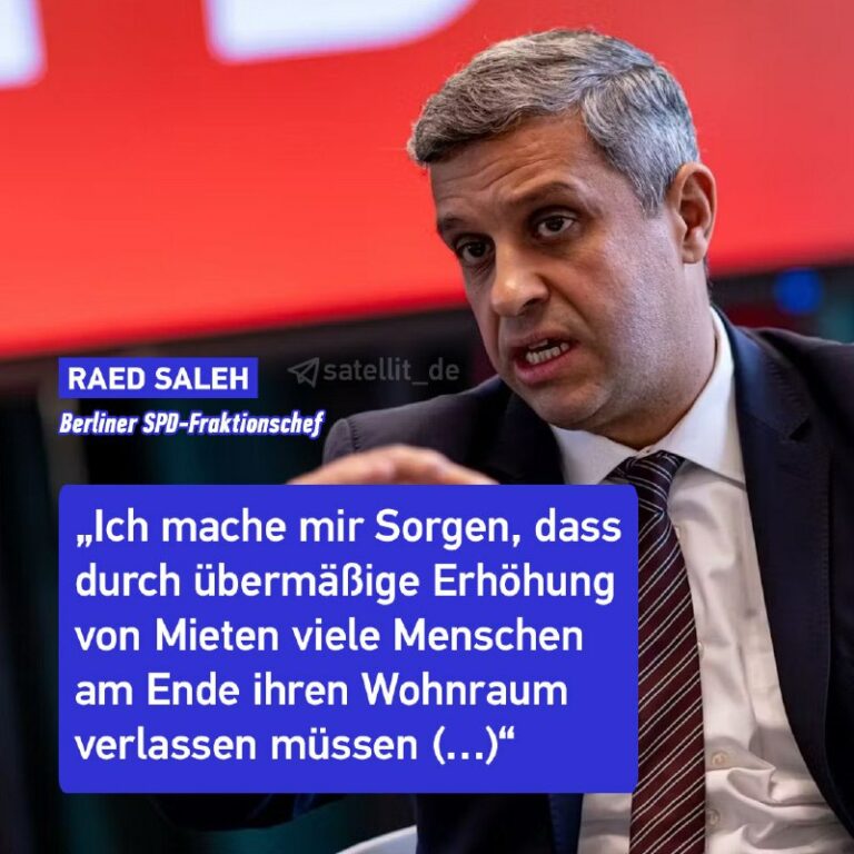 SPD-Chef Saleh fordert schnelle Vergesellschaftungsgesetz