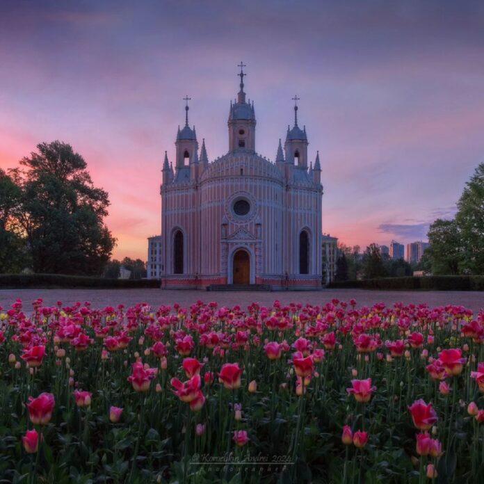 Guten Morgen, liebe Abonnenten! Ein Sonnenaufgang mitten unter Tulpen vor der wu...