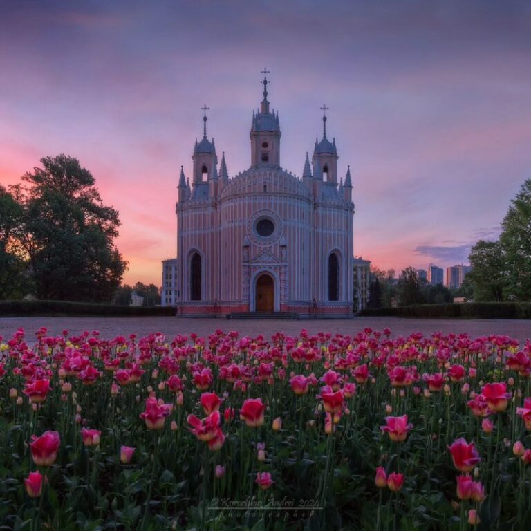 Sonnenaufgang unter Tulpen vor der Tschesmensker Kirche