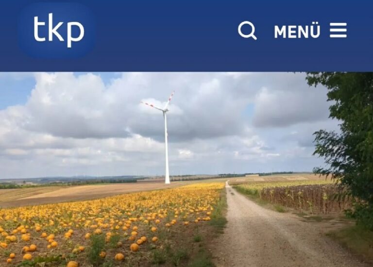 Windräder auf Feldern: Katastrophe für Bauern und Lebensmittelsicherheit