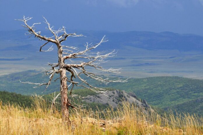 Guten Morgen, liebe Abonnenten! Der Alkhanai-Nationalpark in der Transbaikal-Reg...