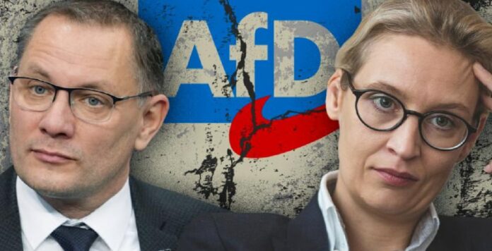 #Bundestag will #AfD-Verbotsantrag vor Bundesverfassungsgericht diskutieren Mind...