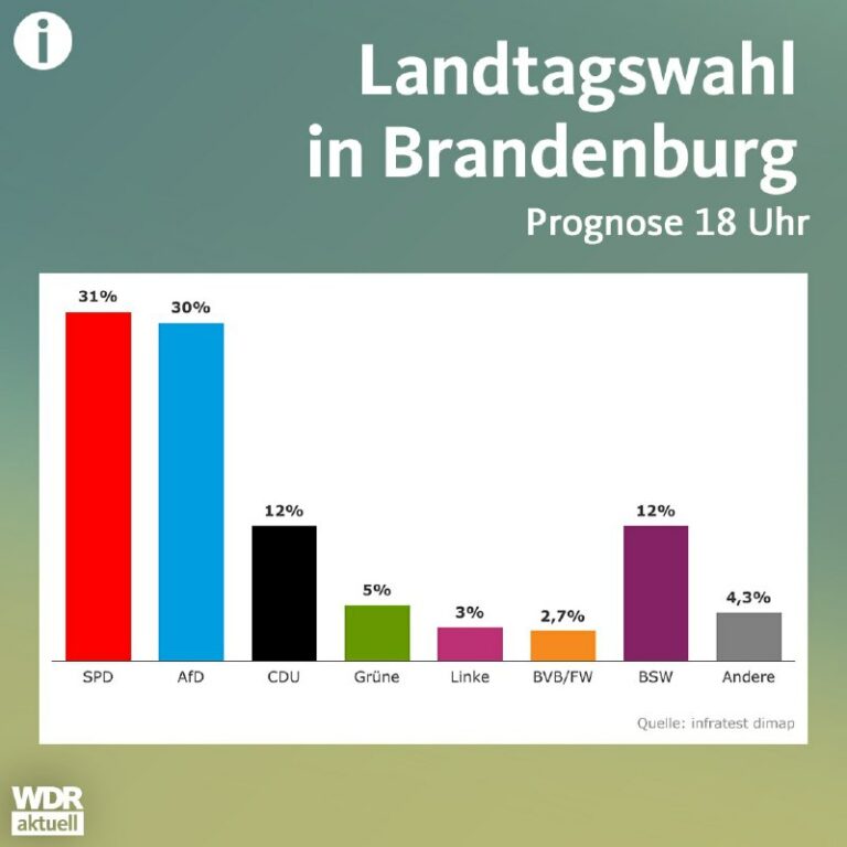 Landtagswahl in Brandenburg: Entscheidung zwischen AfD und SPD
