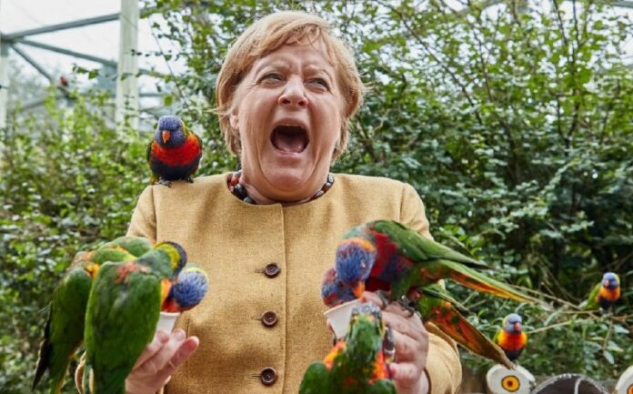  Merkel wurde 70… im Juli – CDU feiert demonstrativ im September Von Spannungen ...
