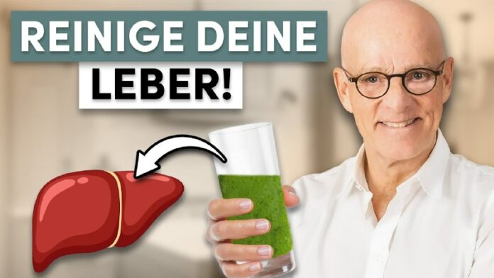 Silybum Marianum - Ihre Leber braucht esMariendistel, bekannt als "Silybum maria...
