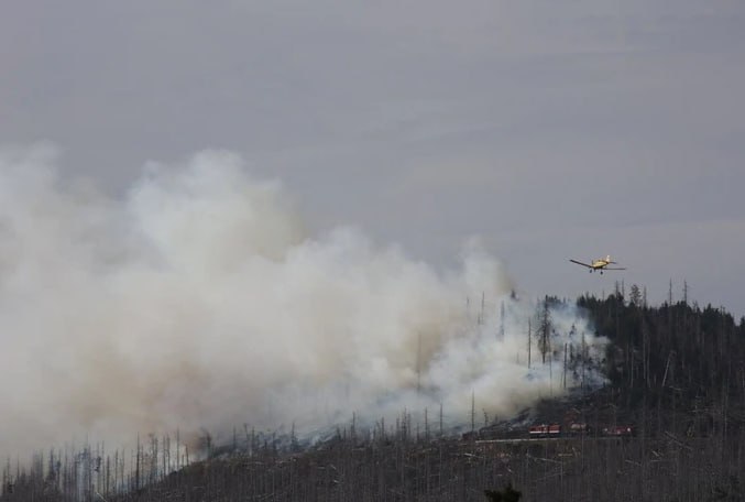 Waldbrand auf dem Brocken breitet sich weiter aus – Touristen in Sicherheit gebracht