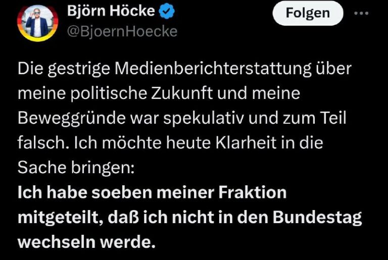 Höcke will nicht in den Bundestag wechselnThüringens AfD-Partei- und Fraktionsch…