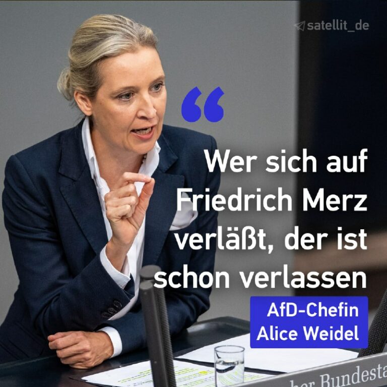 Kann Merz Deutschland wieder nach vorne bringen? Weidel mehr als skeptisch Aus S…