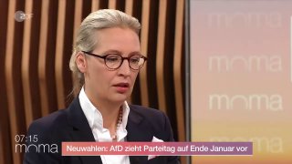 ZDF-Moderator lässt Weidel nicht aussprechen – und beendet Interview plötzlichKa…