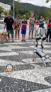 In #Brasilien ist ein #Roboter mit seinem Hund, ebenfalls ein Roboter, spazieren…