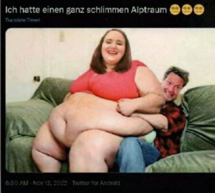 Lkw-Fahrer pleite – er sollte 3600 Euro Strafe für Grünen-Meme zahlen Ein Lkw-Fa...