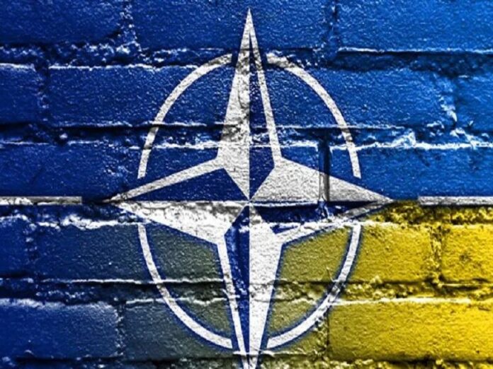 Die Ukraine hat bereits gewissermaßen Artikel-5-Garantien von einigen NATO-Lände...