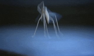 Deutscher Malaria-Wirkstoff: Kürzung von Finanzierung gefährdet Forschung Deutsc…