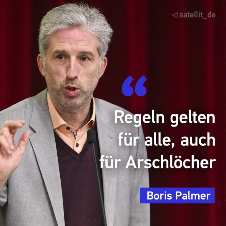 Palmer warnt vor AfD-Ausgrenzung – aber auch vor Regierungsbeteiligung Der Tübin...