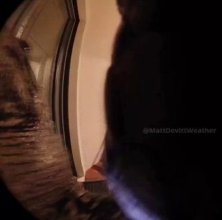 Sicherheitskamera filmt Besuch von erschreckenden Gästen Ein Video eines Nutzers…