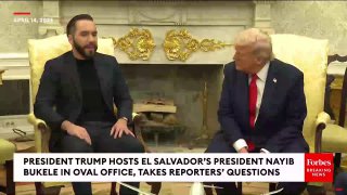 Trump beeindruckt von El Salvadors Präsident: „Kann ich diesen Satz auch benutz…