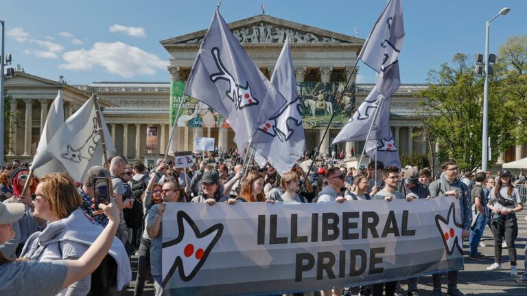 Vielfalt in der ungarischen Innenpolitik
