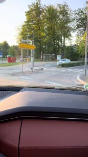 Das Video mit einer #Gänsefamilie, die die Straße über einen Zebrastreifen unwei…
