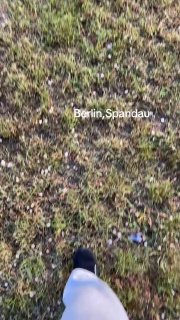Neuer Clan erobert SpandauEine Wildschweinrotte wurde bei einem Spaziergang dur…