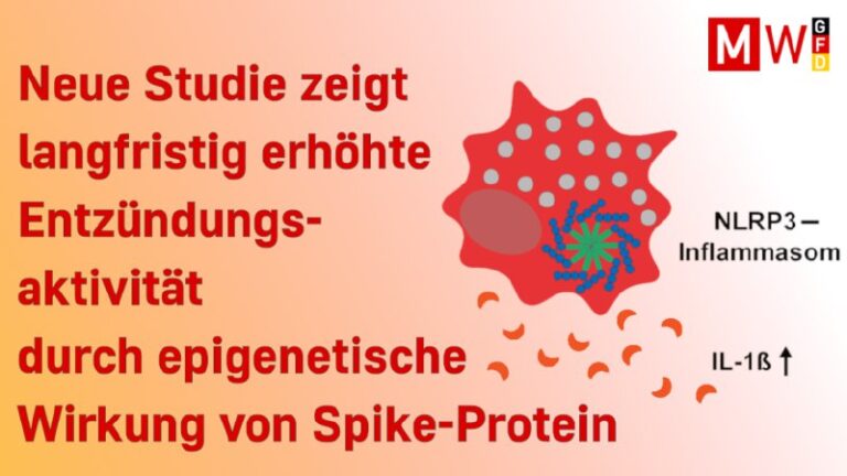 Studie über Immunsystem-Schäden durch Covid-Spritzen – Medien lügen vom Gegentei…
