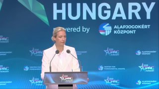 Weidel kritisiert in Budapest #MerzAfD-Bundeschefin Alice #Weidel hat am Freita…