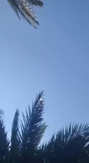 Israel meldet iranische DrohnenangriffeNach israelischen Angaben sollen in den v…