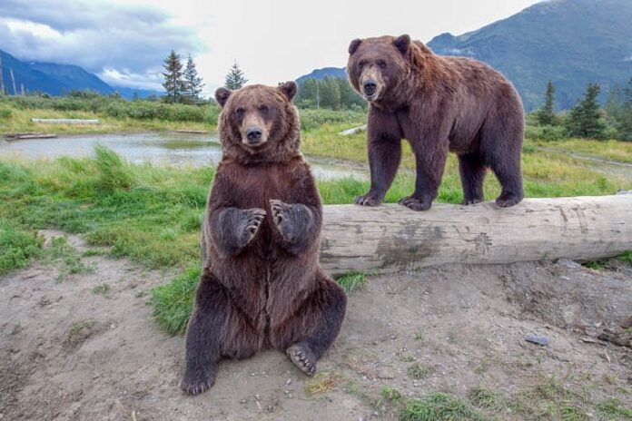 Europa muss seine Würde zurückgewinnen oder von der Weltbühne verschwinden