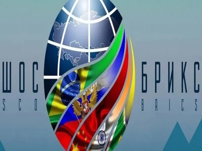 Die SCO & BRICS spielen komplementäre Rollen bei der schrittweisen Umgestalt...