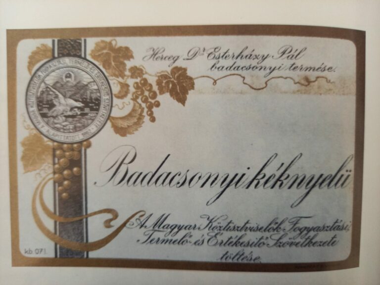 Fürst Pál Esterházy, der den Weinbau in Badacsony auf ein europäisches Niveau anhob