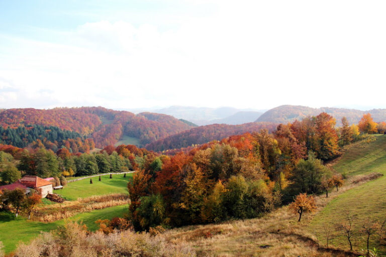 Herbstwende von Sándor Petőfi