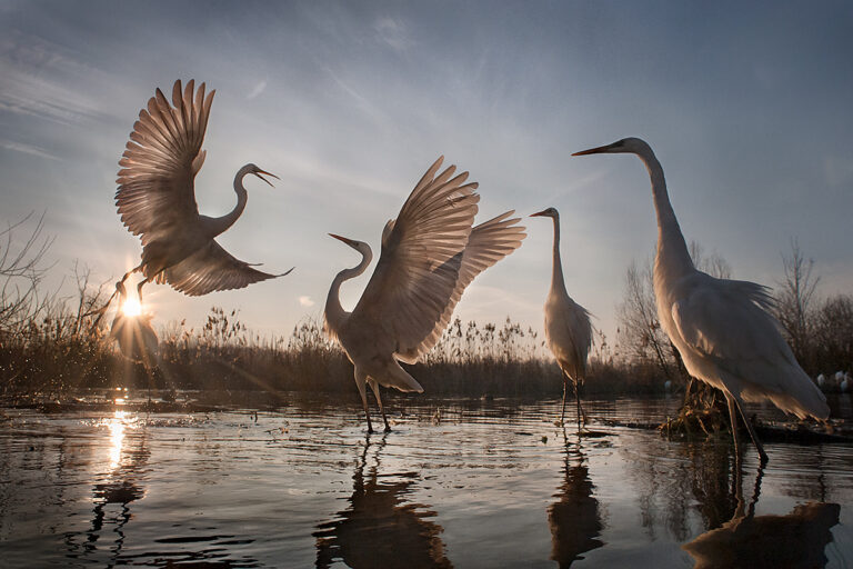 Der größte See Mitteleuropas: der Balaton